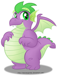 Size: 1024x1379 | Tagged: safe, artist:aleximusprime, spike, dragon, big belly, chubby, cute, fat, fat spike, hilarious in hindsight, older, older spike, simple background, smiling, solo, transparent background, vector, winged spike, wings