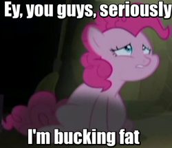 Size: 463x399 | Tagged: safe, edit, edited screencap, screencap, pinkie pie, earth pony, pony, the cutie map, eric cartman, fat, image macro, meme, pudgy pie, solo, south park, winnie the pink