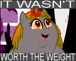 Size: 600x487 | Tagged: safe, whoa nelly, canterlot boutique, fat, incidental pony, meme, worth the weight