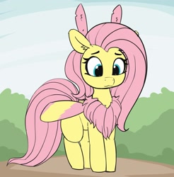 Size: 1413x1434 | Tagged: safe, artist:pabbley, fluttershy, moth, mothpony, original species, 30 minute art challenge, :3, bush, chest fluff, cute, ear fluff, female, fluffershy, fluttermoth, monster mare, rosy maple moth, shyabetes, smiling, solo, species swap