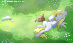 Size: 1500x885 | Tagged: safe, artist:madmax, derpy hooves, pegasus, pony, bag, cute, derpabetes, eyes closed, female, flower, grass, lying down, mail, mailbag, mare, on back, outdoors, sleeping, smiling, solo