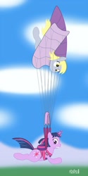 Size: 708x1413 | Tagged: safe, artist:phallen1, derpy hooves, twilight sparkle, pegasus, pony, unicorn, duo, duo female, entangled, falling, female, mare, parachute, sky, skydiving, worried