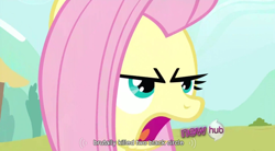 Size: 852x470 | Tagged: safe, derpibooru import, screencap, fluttershy, pegasus, pony, female, mare, pink mane, yellow coat, youtube caption