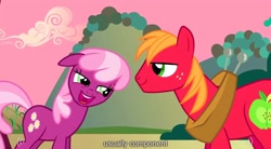 Size: 1280x705 | Tagged: safe, screencap, big macintosh, cheerilee, earth pony, pony, faic, male, stallion, youtube caption