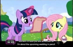 Size: 636x411 | Tagged: safe, derpibooru import, screencap, fluttershy, twilight sparkle, pegasus, pony, a canterlot wedding, utorrent, youtube caption