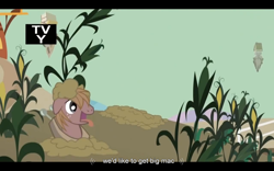 Size: 1024x640 | Tagged: safe, screencap, big macintosh, earth pony, pony, the return of harmony, behaving like a dog, big macindog, corn, cornfield, discorded, male, panting, solo, stallion, tv-y, youtube caption