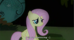 Size: 857x474 | Tagged: safe, derpibooru import, screencap, fluttershy, pegasus, pony, stare master, ei, youtube caption