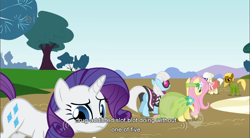 Size: 856x474 | Tagged: safe, derpibooru import, screencap, elsie, fluttershy, photo finish, picture frame (character), picture perfect, pretty vision, rarity, earth pony, pegasus, pony, unicorn, green isn't your color, elise, female, mare, technically an upskirt shot, youtube caption
