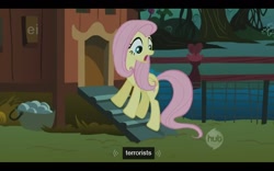 Size: 1280x800 | Tagged: safe, derpibooru import, screencap, fluttershy, pegasus, pony, stare master, ei, hub logo, terrorist, youtube caption