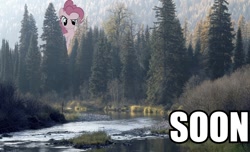 Size: 946x576 | Tagged: safe, pinkie pie, pony, fishing, forest, giant pony, image macro, macro, soon