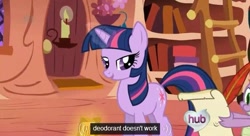 Size: 631x343 | Tagged: safe, edit, edited screencap, screencap, spike, twilight sparkle, dragon, the ticket master, caption, ei, hub logo, youtube caption