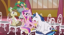 Size: 1278x711 | Tagged: safe, screencap, hayseed turnip truck, princess cadance, shining armor, alicorn, pony, unicorn, slice of life (episode), meme, youtube caption