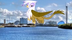 Size: 1000x550 | Tagged: safe, gilda, griffon, city, giantess, glasgow, highrise ponies, macro, scotland, skyline