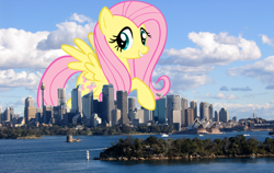 Size: 1000x633 | Tagged: safe, fluttershy, pegasus, pony, australia, city, giant pony, giantess, highrise ponies, macro, skyline, solo, sydney