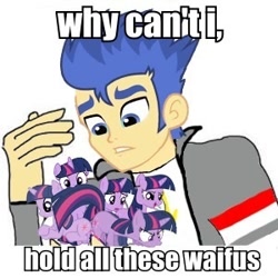 Size: 300x300 | Tagged: safe, flash sentry, twilight sparkle, clones, exploitable meme, image macro, meme, micro, multeity, sparkle sparkle sparkle, waifu, waifu thief, why can't i hold all these x