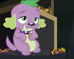 Size: 791x639 | Tagged: safe, screencap, spike, spike the regular dog, dog, equestria girls, movie magic, spoiler:eqg specials, belly, chubby, cropped, fat, fat spike, solo, stuffed