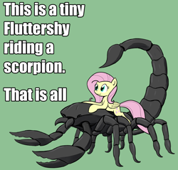 Size: 1280x1225 | Tagged: safe, artist:whatsapokemon, fluttershy, pegasus, pony, scorpion, cute, daaaaaaaaaaaw, female, fluttertamer, green background, image macro, mare, micro, ponies riding scorpions, riding, shyabetes, simple background, text