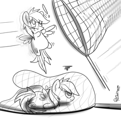 Size: 3000x3000 | Tagged: dead source, safe, artist:tkc, rainbow dash, pegasus, pony, butterfly net, caught, chibi, micro, monochrome, solo, style emulation