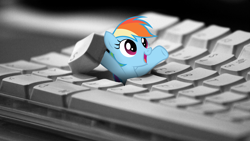 Size: 1600x900 | Tagged: safe, artist:klaifferon, rainbow dash, pegasus, pony, arms in the air, artifact, cute, dashabetes, female, happy, hiding, i hid in your keyboard, i love you, irl, keyboard, looking up, love, mare, micro, open mouth, photo, picture, ponies in real life, smiling, solo, wallpaper