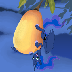 Size: 1000x1000 | Tagged: safe, artist:philith, princess luna, alicorn, pony, eating, food, fruit, herbivore, mango, micro, solo, stellaluna, suspended, tiny, upside down