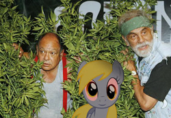 Size: 560x388 | Tagged: safe, derpy hooves, pegasus, pony, cheech and chong, derp, derpy stare, drugs, female, mare, marijuana