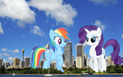 Size: 1024x640 | Tagged: safe, artist:anxet, artist:redpandapony, artist:theotterpony, rainbow dash, rarity, city, irl, macro, photo, ponies in real life, sydney