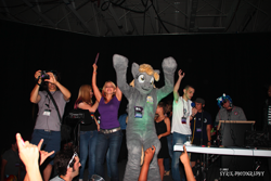 Size: 2047x1365 | Tagged: safe, derpy hooves, human, bronycon, cosplay, fursuit, irl, irl human, photo, tara strong