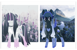 Size: 1280x827 | Tagged: safe, artist:shady-bush, oc, oc only, oc:misty mountain, oc:morning frost, pegasus, pony, unicorn, female, mare