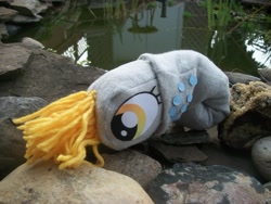 Size: 900x675 | Tagged: safe, artist:brainbread, derpy hooves, squid, custom, cute, irl, nautilus, nautilus pony, photo, plushie, species swap, toy