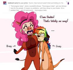 Size: 623x603 | Tagged: safe, artist:redhotkick, derpibooru import, pinkie pie, rainbow dash, human, breast envy, breasts, clothes, costume, female, grumpy, humanized, pinkie pies, pumbaa, the lion king, timon, tumblr