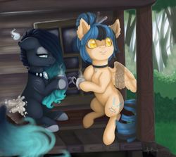 Size: 1339x1193 | Tagged: safe, artist:shady-bush, oc, oc only, oc:halcyon, oc:upcoming rain, original species, pegasus, pony, dexterous hooves, female, mare, scented pony