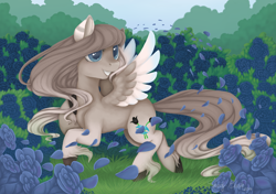 Size: 1526x1072 | Tagged: safe, artist:shady-bush, oc, oc:sophie, pegasus, pony, female, flower, mare, solo