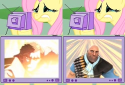 Size: 1126x771 | Tagged: safe, derpibooru import, fluttershy, pegasus, pony, exploitable meme, f-zero, meme, team fortress 2, tv meme