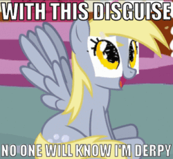 Size: 406x373 | Tagged: safe, derpy hooves, pegasus, pony, animated, dan vs fim, disguise, female, image macro, mare, paper-thin disguise, spy, team fortress 2, underp