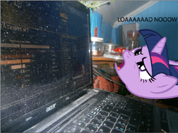 Size: 588x443 | Tagged: safe, artist:trygveblacktiger, twilight sparkle, pony, computer, irl, laptop computer, photo, ponies in real life, team fortress 2, vector