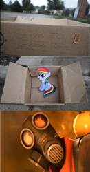 Size: 618x1180 | Tagged: safe, derpibooru import, rainbow dash, pegasus, pony, dashie meme, evil people finding dash meme, exploitable meme, filly, meme, pyro, team fortress 2