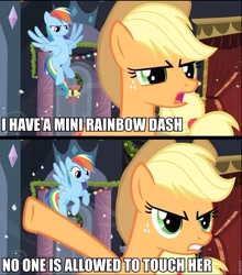 Size: 846x960 | Tagged: safe, screencap, applejack, rainbow dash, earth pony, pegasus, pony, hearth's warming eve (episode), hearth's warming eve, image macro, meme, micro, text, tiny ponies