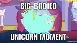 Size: 1000x563 | Tagged: safe, edit, edited screencap, screencap, whoa nelly, pony, canterlot boutique, big lipped alligator moment, caption, fat, image macro, meme, nostalgia critic, text