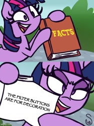 Size: 500x667 | Tagged: safe, twilight sparkle, alicorn, pony, exploitable meme, twilight's facts book