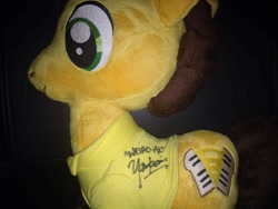 Size: 960x720 | Tagged: safe, artist:judhudson, cheese sandwich, autograph, irl, photo, plushie, weird al yankovic