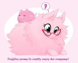 Size: 500x402 | Tagged: safe, artist:justplumsweet, artist:peachiekeenie, oc, oc only, oc:fluffle puff, original species, pig, ask, ask plumsweet, tumblr