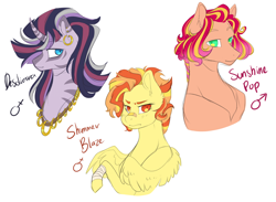 Size: 1200x880 | Tagged: safe, artist:yuyusunshine, oc, oc only, oc:desdiara, oc:shimmer blaze, oc:sunshine pop, earth pony, hybrid, pegasus, pony, zebra, zebracorn, zony, bandage, ear fluff, ear piercing, earring, female, interspecies offspring, jewelry, magical lesbian spawn, male, mare, necklace, offspring, parent:bulk biceps, parent:pinkie pie, parent:sunset shimmer, parent:twilight sparkle, parent:zecora, parents:sunsetpie, parents:twicora, piercing, simple background, stallion, white background