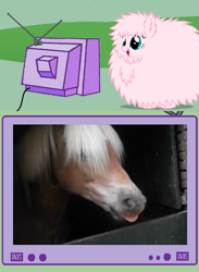 Size: 563x771 | Tagged: safe, oc, oc only, oc:fluffle puff, horse, exploitable meme, meme, obligatory pony, tv meme, youtube video