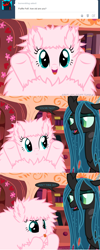 Size: 650x1622 | Tagged: safe, artist:mixermike622, derpibooru import, queen chrysalis, oc, oc:fluffle puff, changeling, changeling queen, age, ask, golden oaks library, hoof failure, hooves, tumblr, tumblr:ask fluffle puff