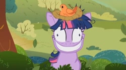 Size: 912x510 | Tagged: safe, edit, edited screencap, screencap, twilight sparkle, pony, lesson zero, chubby, fat, fat edit, twilard sparkle, twilight snapple