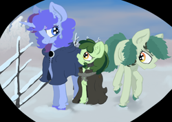 Size: 1972x1393 | Tagged: safe, artist:paskanaakka, derpibooru exclusive, oc, oc only, oc:bittergreen, oc:midnight dew, oc:sweetleaf, earth pony, pony, unicorn, chest fluff, cloak, clothes, colored hooves, ear fluff, female, fence, filly, snow, trio, trio female, unshorn fetlocks, winter