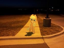 Size: 2048x1536 | Tagged: safe, artist:emedina13, derpibooru import, edit, applejack, earth pony, pony, crossover, night, ponies in real life, sidewalk, slenderman, streetlight, vector, wait till you see it