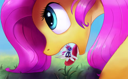 Size: 1918x1200 | Tagged: safe, artist:sugahbite, fluttershy, seabreeze, breezie, pegasus, pony, fetish, flutterpred, grazing, imminent vore, macro, micro, open mouth, tongue out, vore, wallpaper