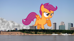 Size: 2054x1139 | Tagged: safe, artist:auskeldeo, scootaloo, pegasus, pony, female, filly, giant pony, giantess, irl, macro, missouri, photo, ponies in real life, st. louis