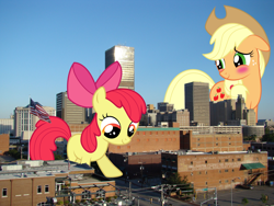 Size: 2000x1500 | Tagged: safe, artist:auskeldeo, apple bloom, applejack, earth pony, pony, apple bloom's bow, blushing, bow, freckles, giant pony, giantess, hair bow, hat, irl, looking down, macro, mane, oklahoma, oklahoma city, photo, ponies in real life, tail
